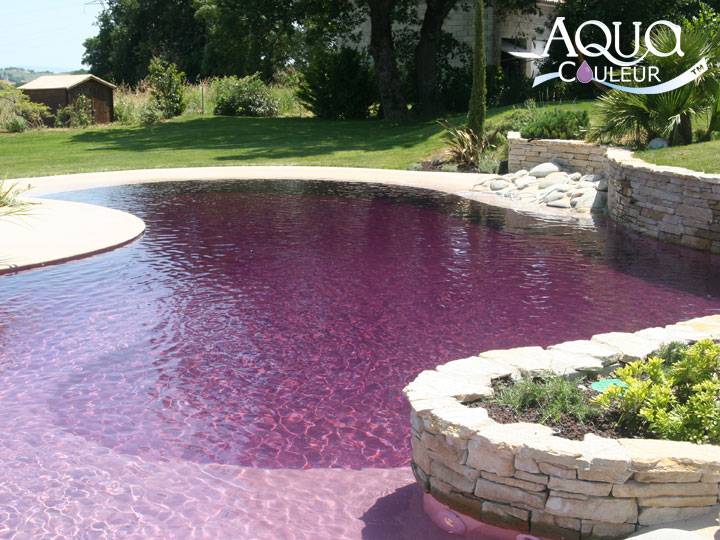 colorant piscine violet